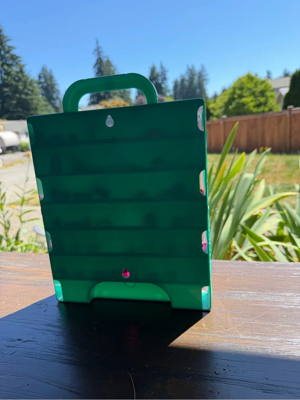 Shopkins Green Carry Case with Pink Shelves - Collectible Display 53 toys